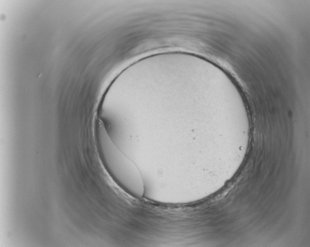 X0000058121516200510212007