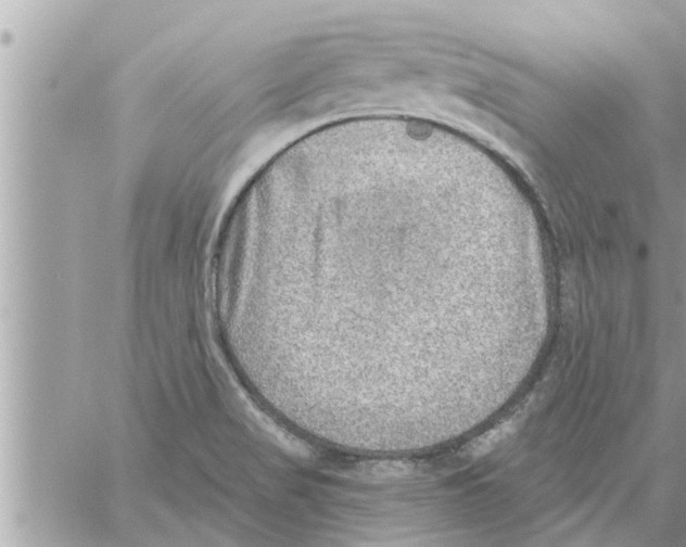 X0000058121517200510212007