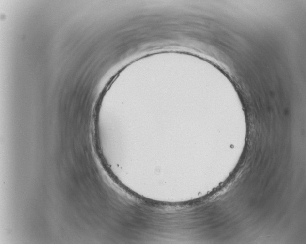 X0000058121518200510212007