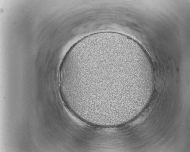 X0000058121519200510212007