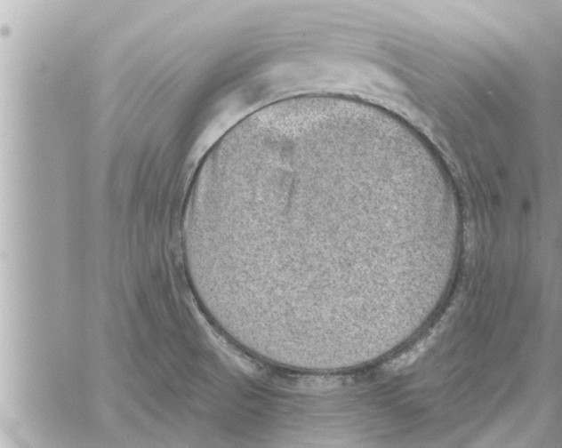 X0000058121521200510212007