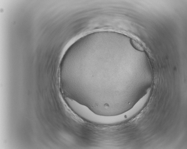 X0000058121522200510212007