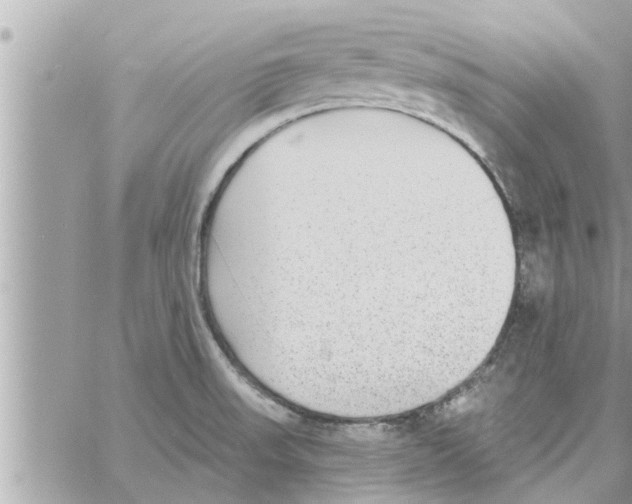 X0000058121523200510212007