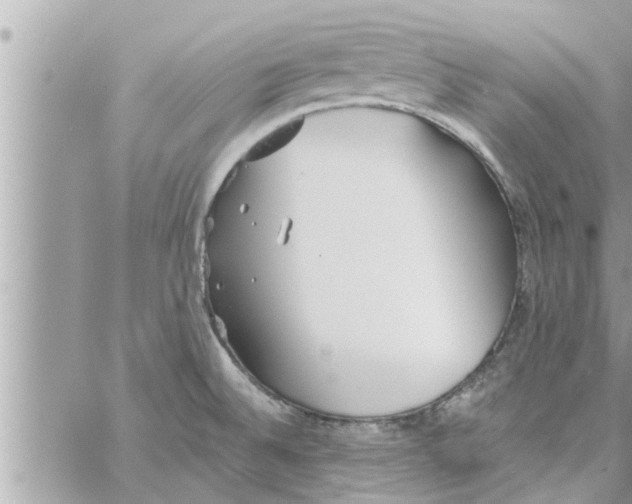 X0000058121524200510212007