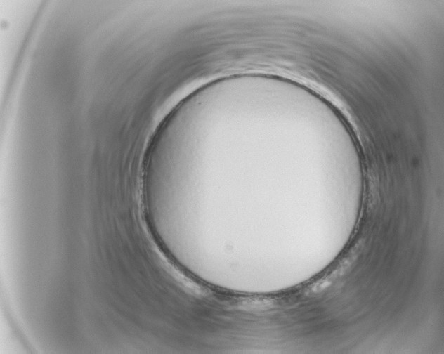 X0000058121525200510212007