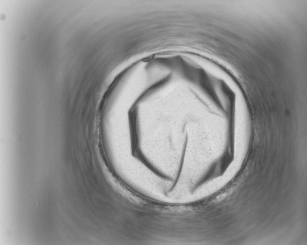 X0000058121526200510212007