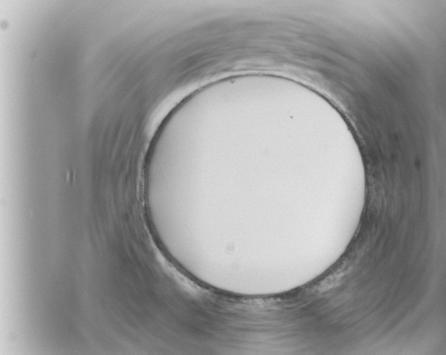 X0000058121527200510212007