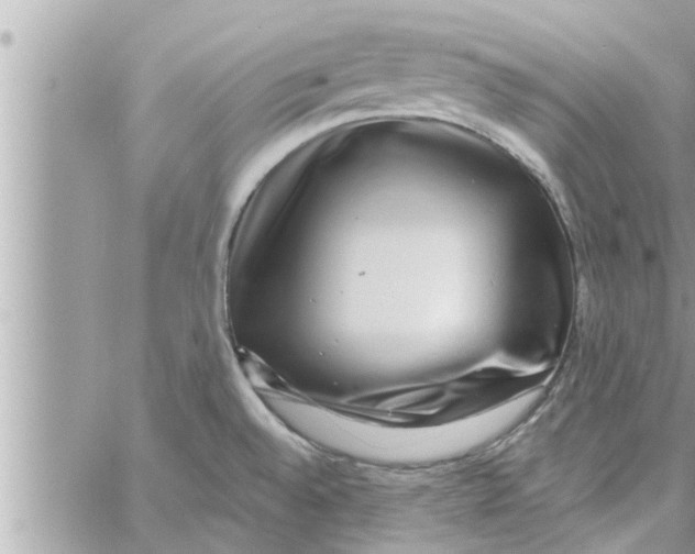 X0000058121528200510212007