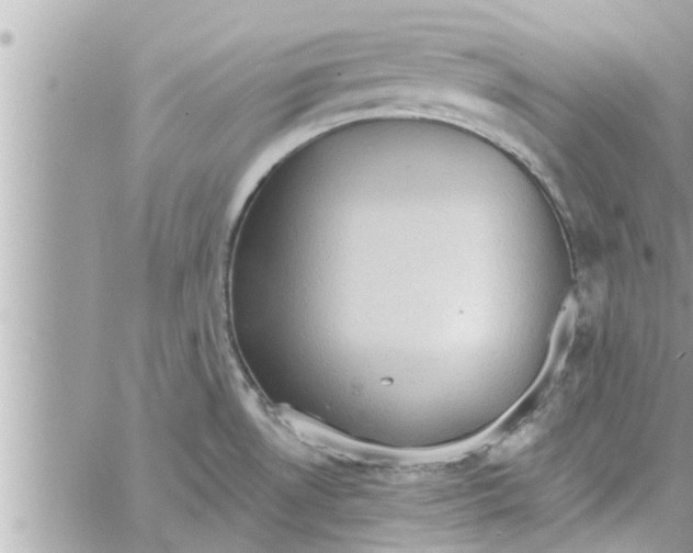 X0000058121530200510212007