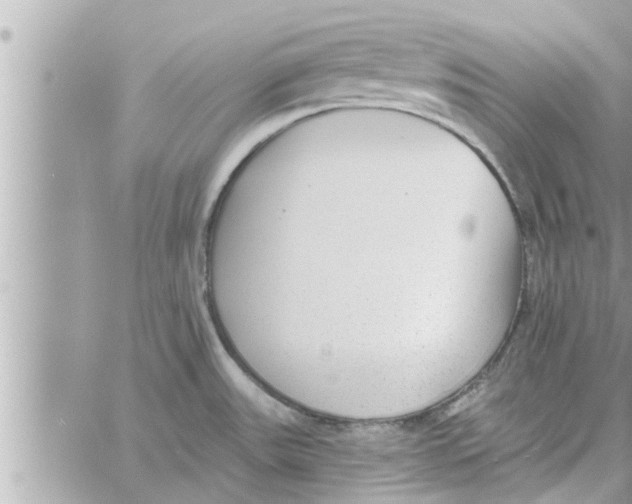 X0000058121531200510212007