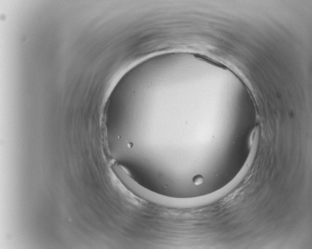 X0000058121532200510212007