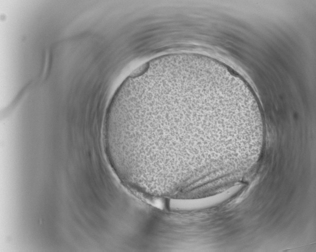 X0000058121533200510212007