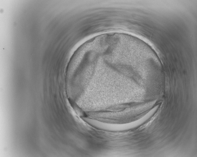 X0000058121534200510212007