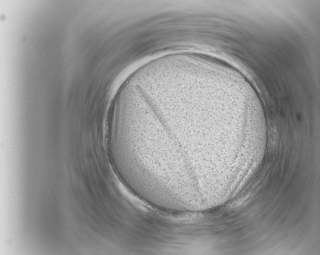 X0000058121535200510212008