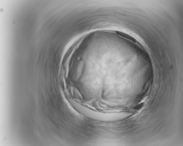 X0000058121536200510212008