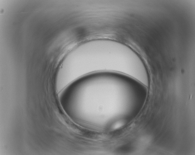X0000058130107200509230831