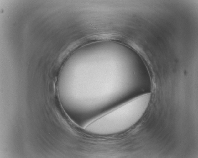 X0000058130109200509230831