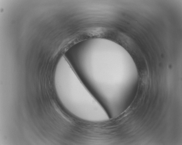 X0000058130408200509230826