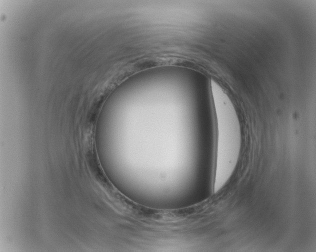X0000058130601200509230823