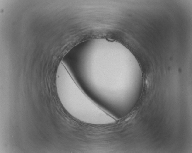 X0000058130867200509230818