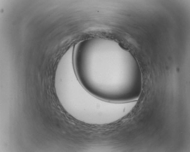 X0000058130965200509230817