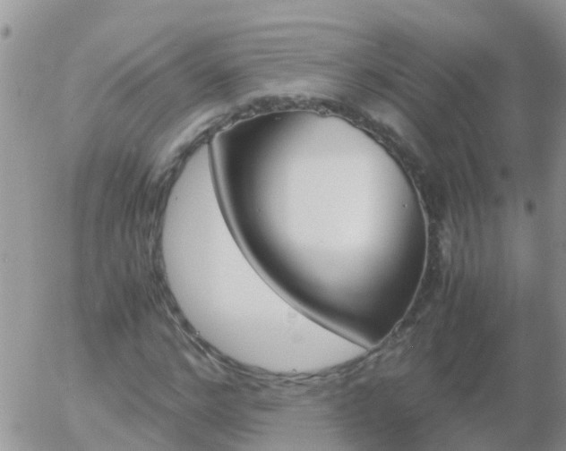 X0000058130968200509230817