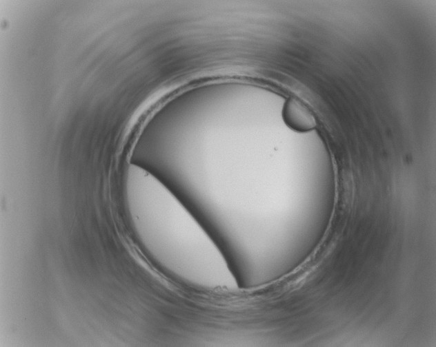 X0000058130982200509230817