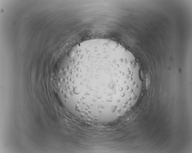 X0000058131059200509230815