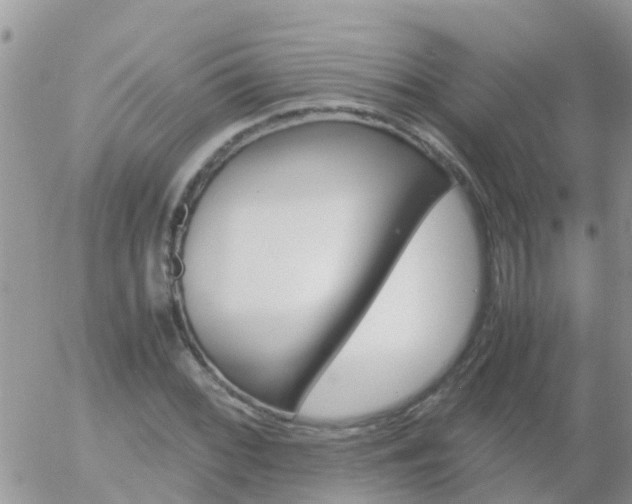 X0000058131068200509230815