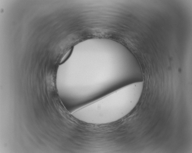 X0000058131106200509230814