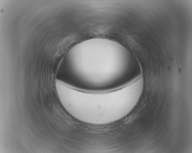 X0000058131156200509230814