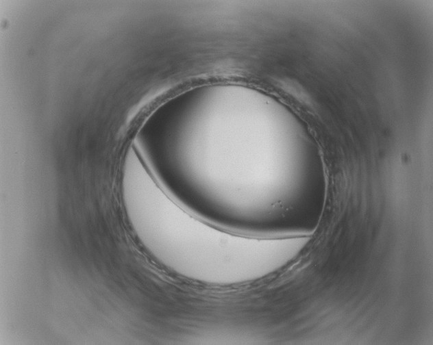 X0000058131160200509230814