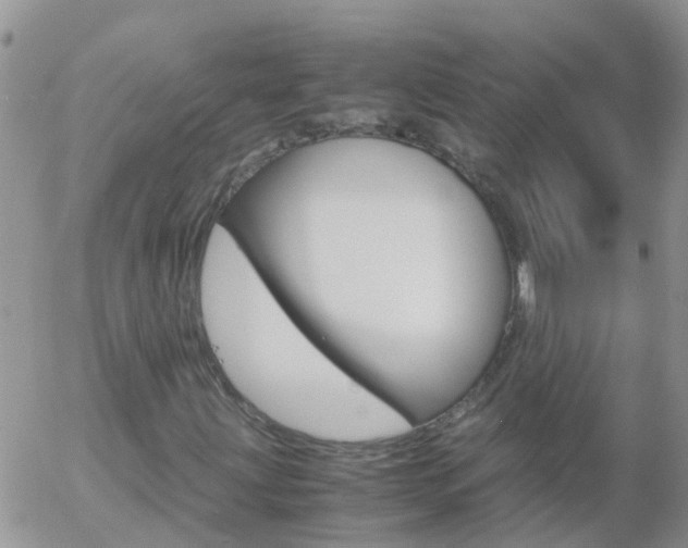 X0000058131203200509230812