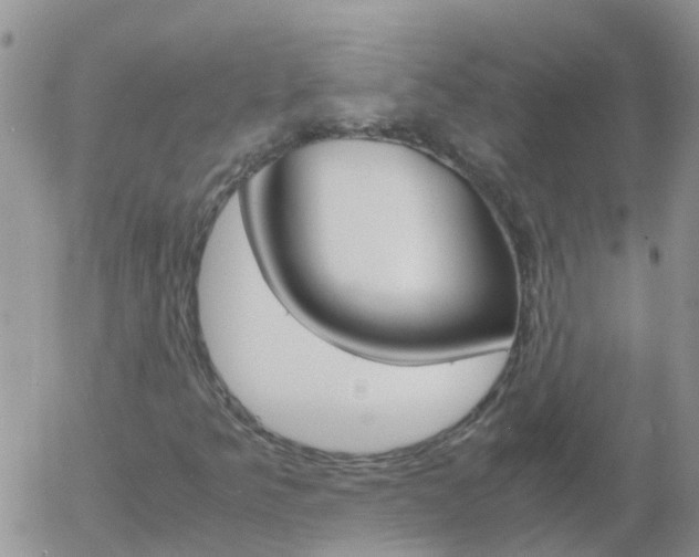 X0000058131349200509230811