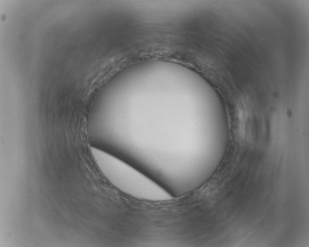 X0000058131397200509230809