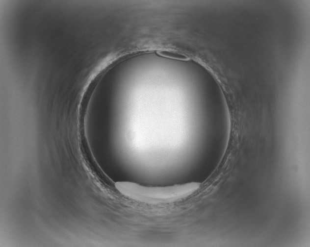 X0000058130008200509231131