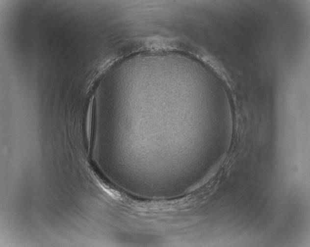 X0000058130009200509231131