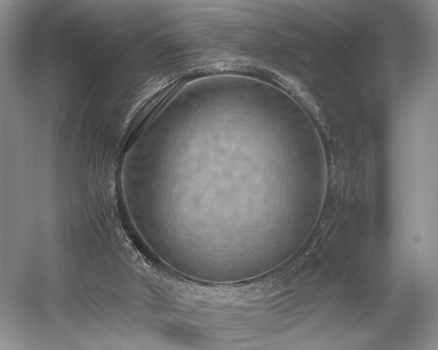 X0000058130010200509231131