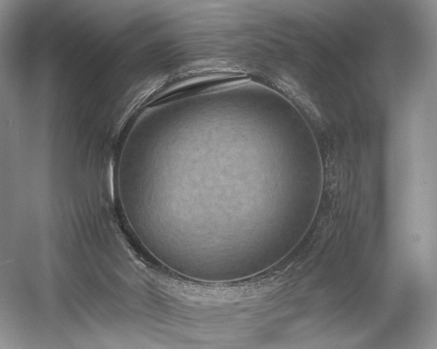 X0000058130014200509231131