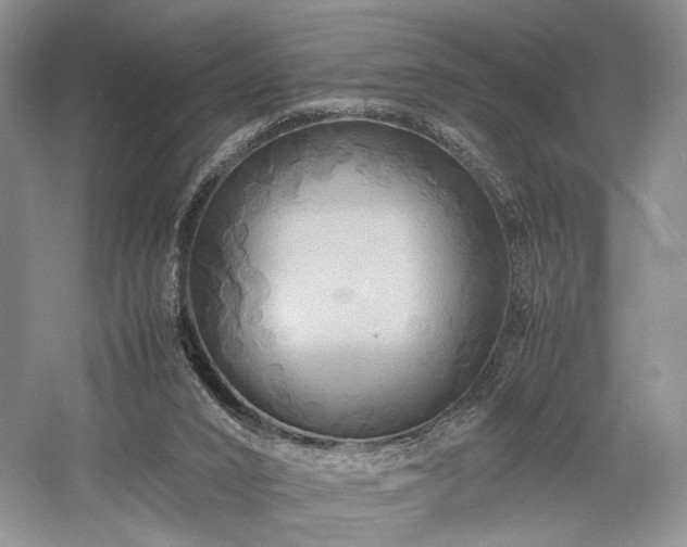 X0000058130016200509231130
