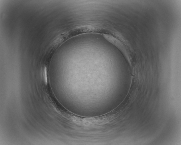 X0000058130022200509231130