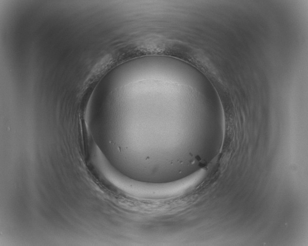 X0000058130023200509231130