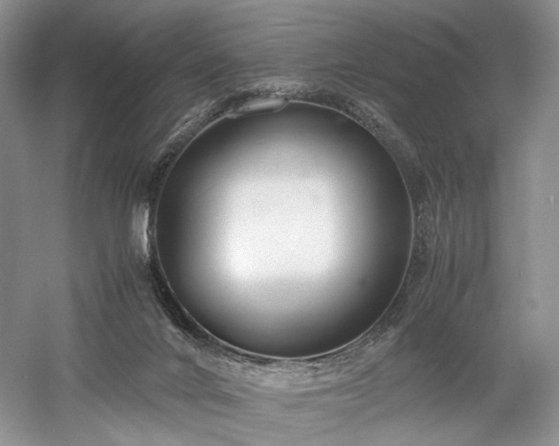 X0000058130024200509231130