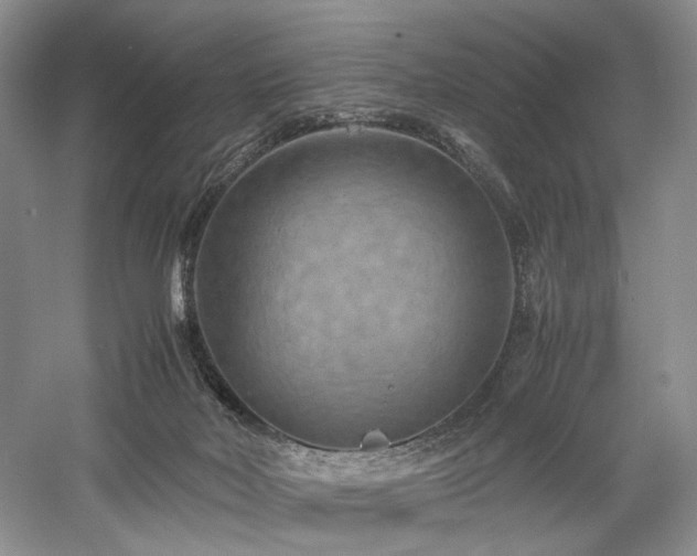 X0000058130026200509231130