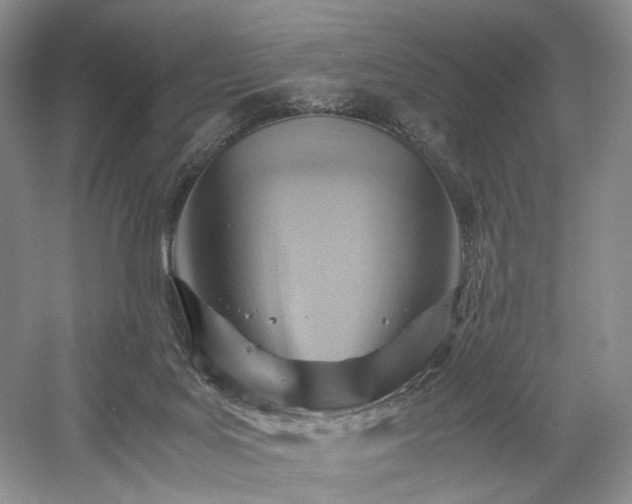 X0000058130027200509231130