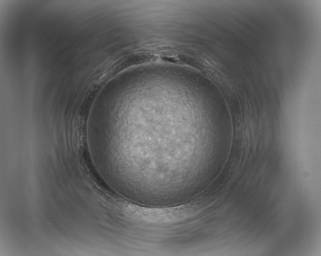 X0000058130030200509231130