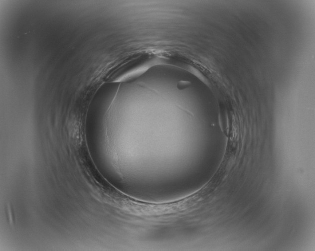 X0000058130031200509231130