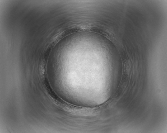 X0000058130032200509231130