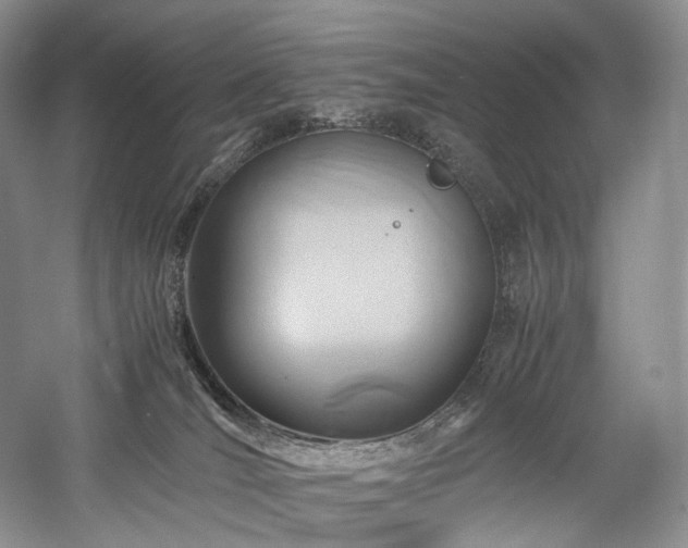 X0000058130036200509231130