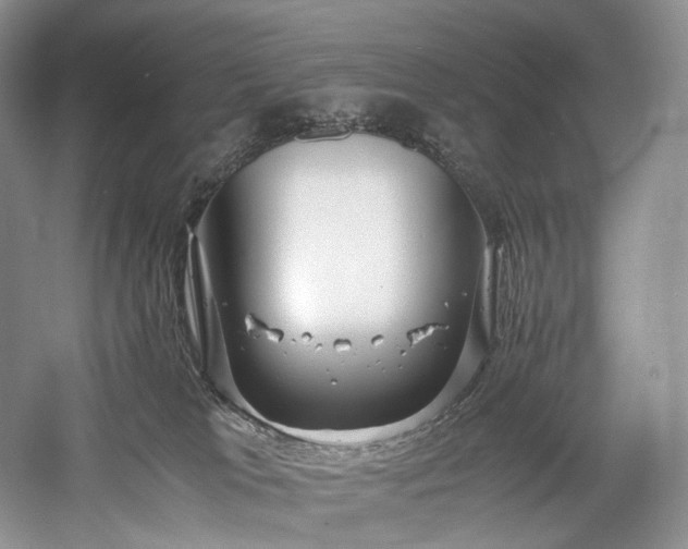 X0000058130037200509231130